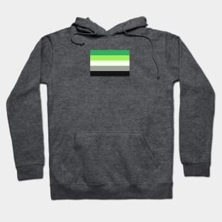 Aro Flag Hoodie